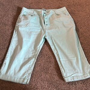Flamingals Size 3XL 18 light blue teal capri jegging